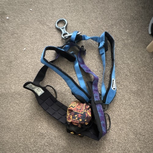 Petzl climbing harness used - climbing,