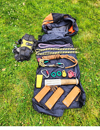 Arborist tree surgeon harness - tree,